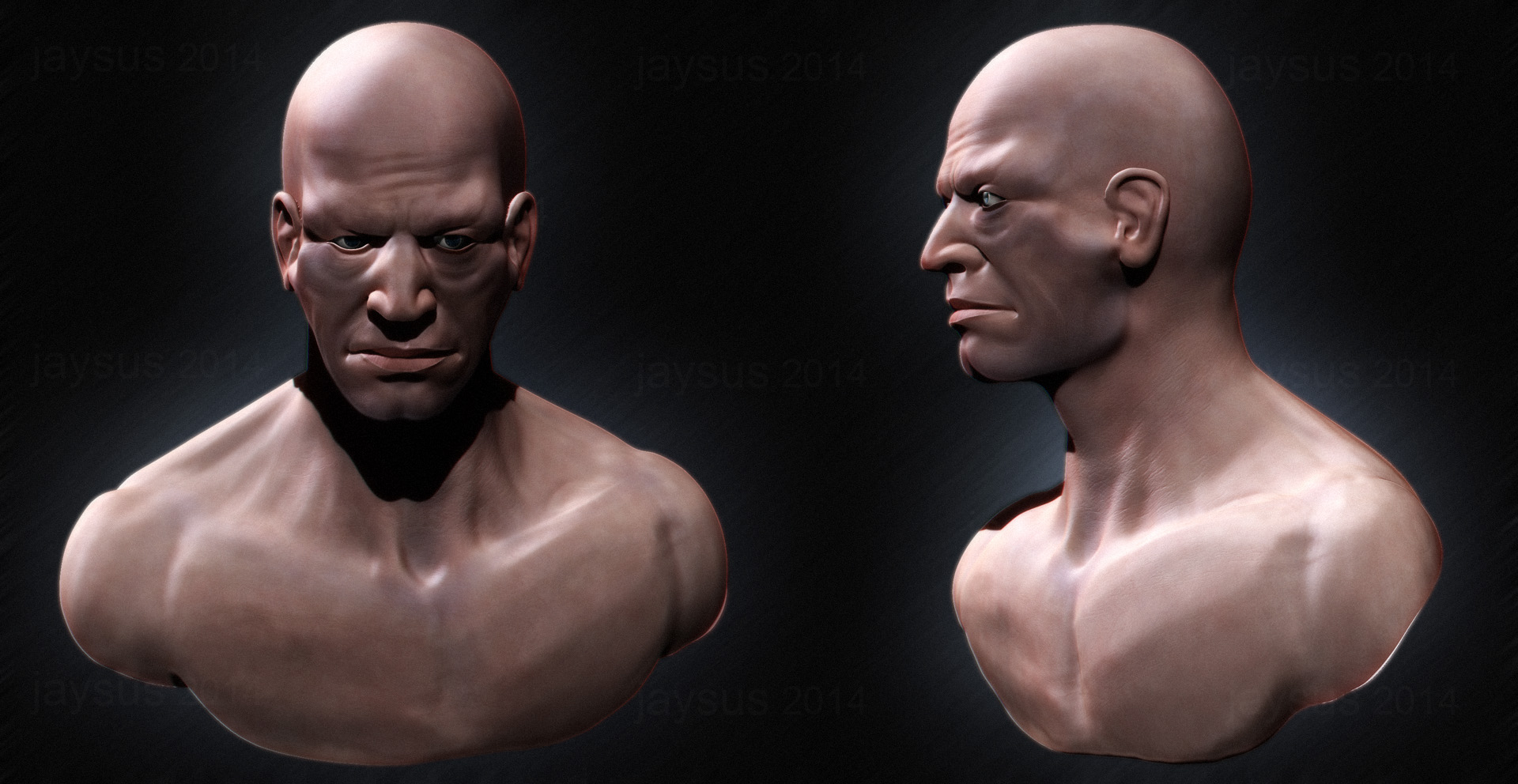 Bust_M11_cc.jpg