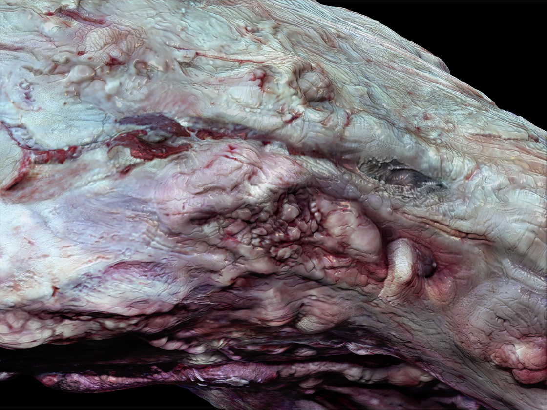 Meat6.jpg