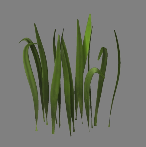 DavesGrass2.jpg