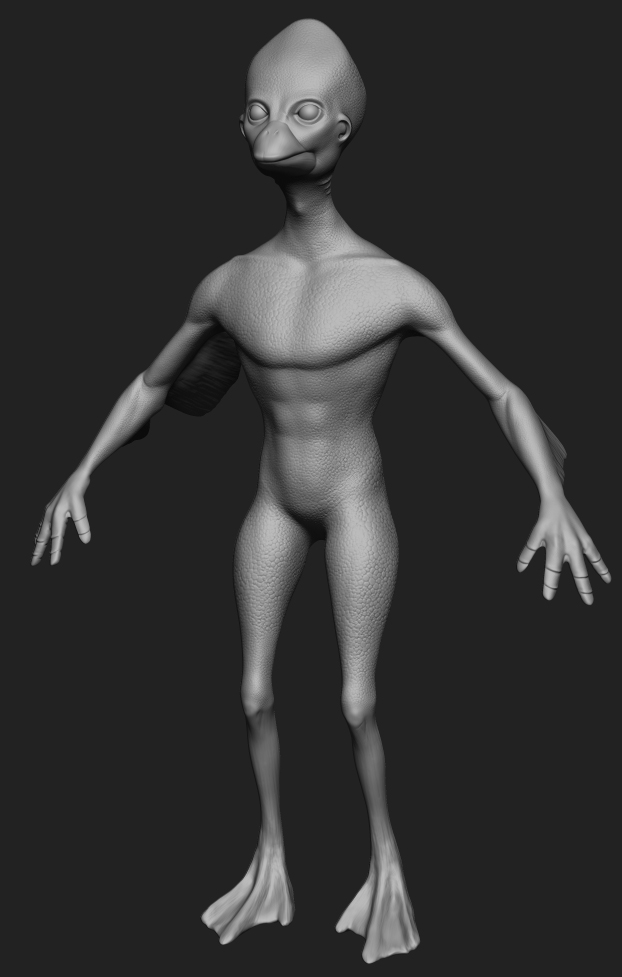 wipduck.jpg