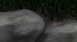 StoneWallThumb.jpg