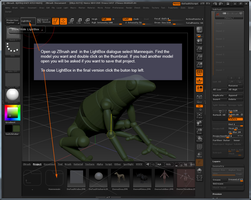froggy01.jpg