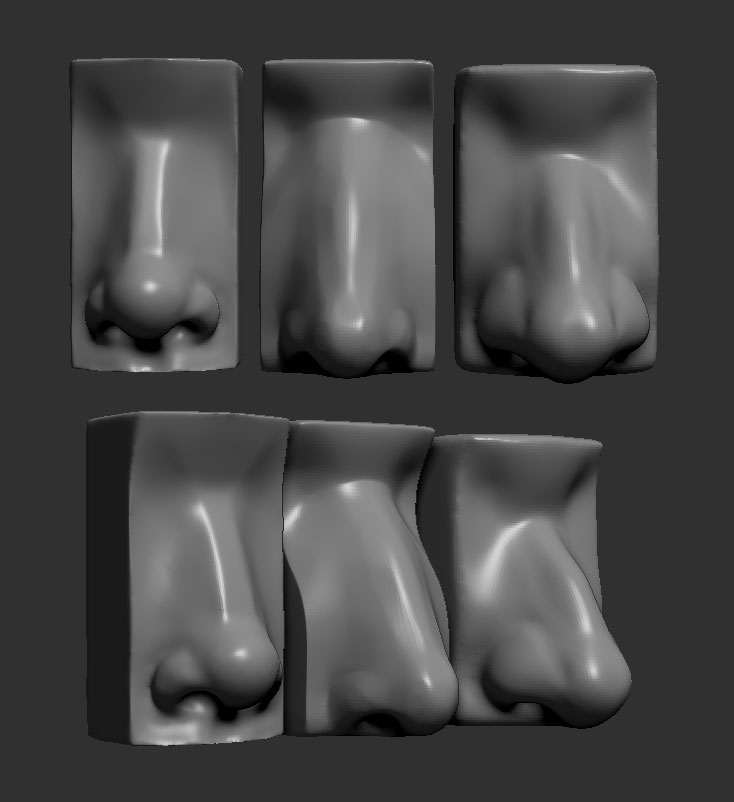 mfc2011_noses.jpg