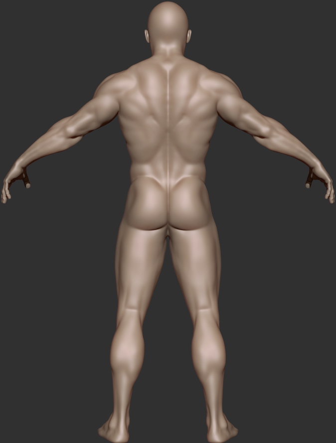 bodybuilder study_back.jpg