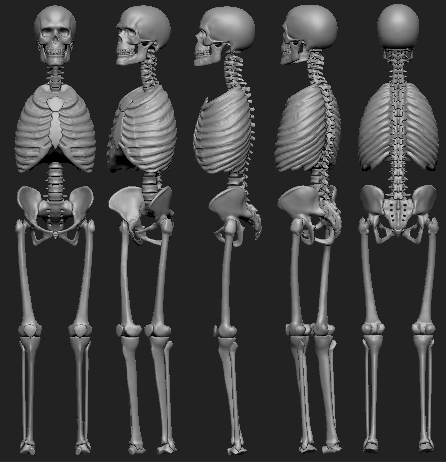 Skeleton_06.jpg