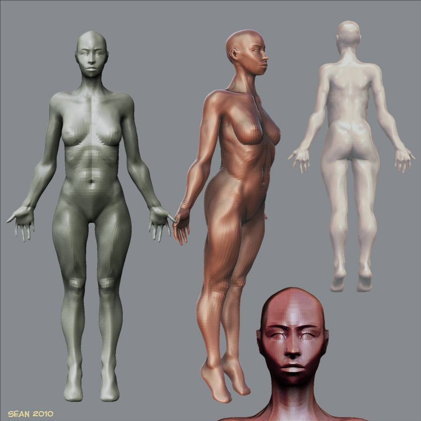anatomy-render-2.jpg