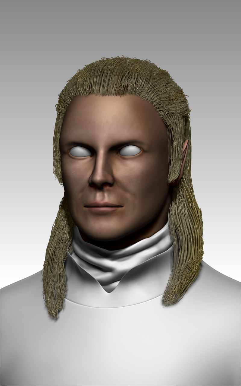 Head.jpg