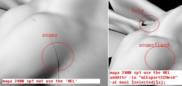 &_26410.jpg