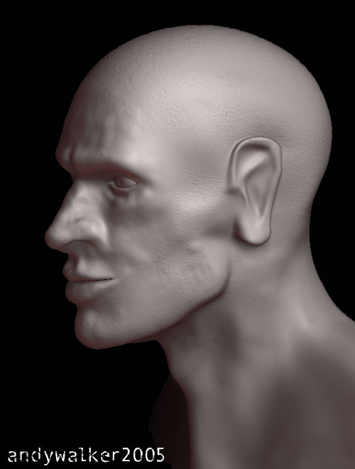baseheadmo.jpg