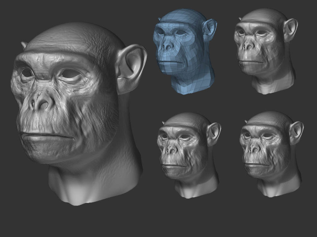 chimp_1024.jpg