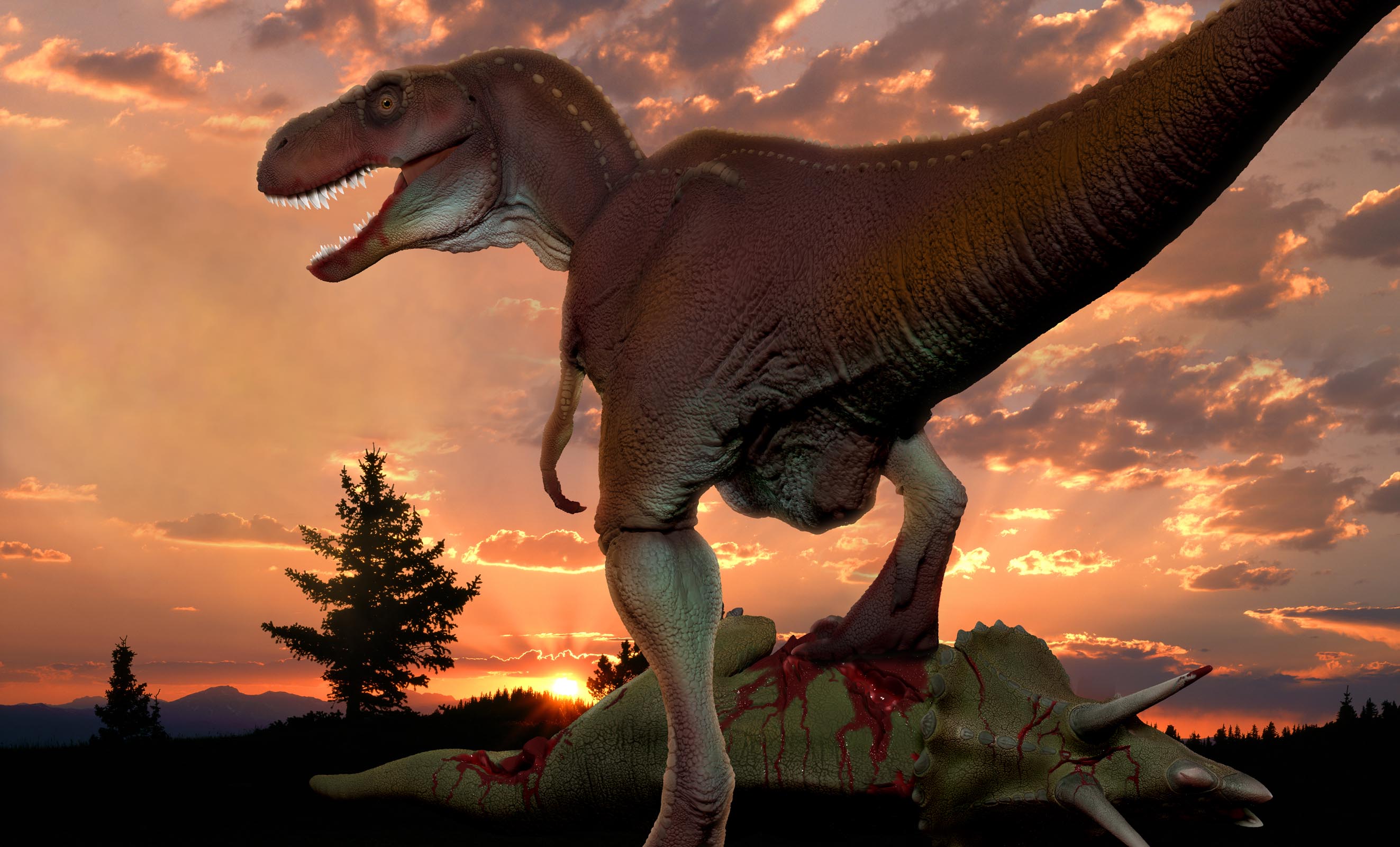 Trex HRES FLAT low.jpg