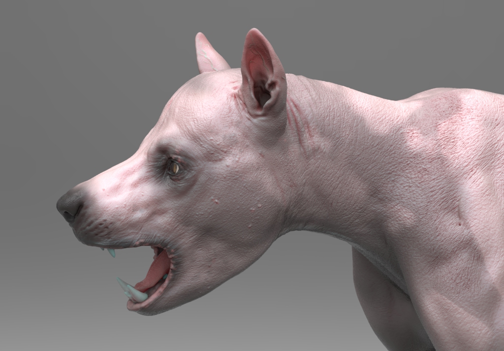 beardog1.jpg
