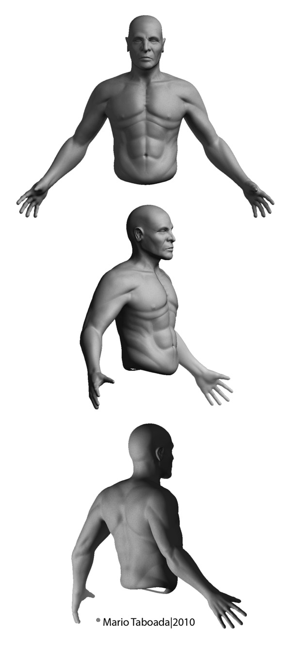 MaleModelwip02.jpg