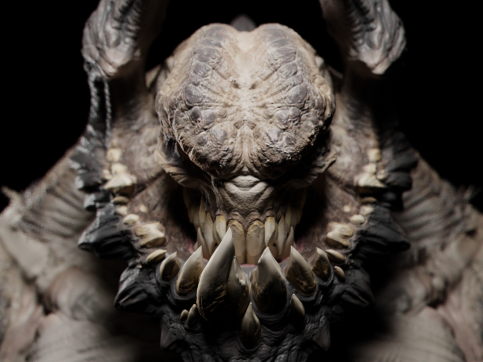 closeup.jpg