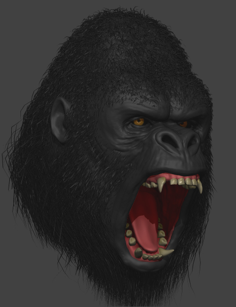 gorilla sketch3.jpg