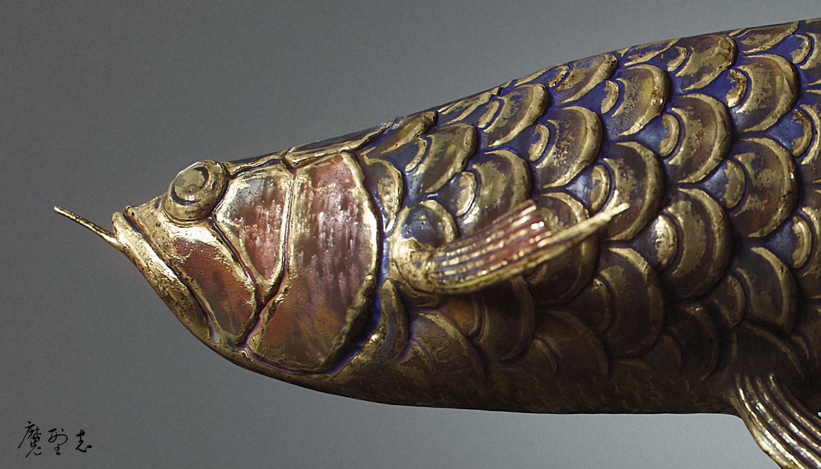 fish01_final_web_调整大小.jpg