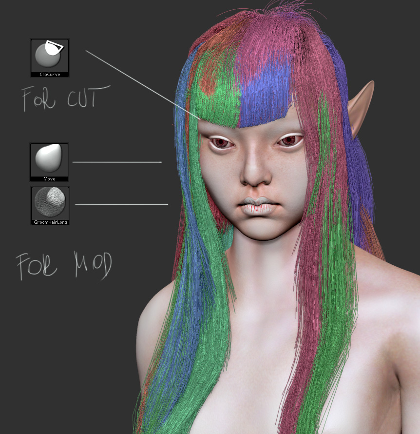 hair.jpg
