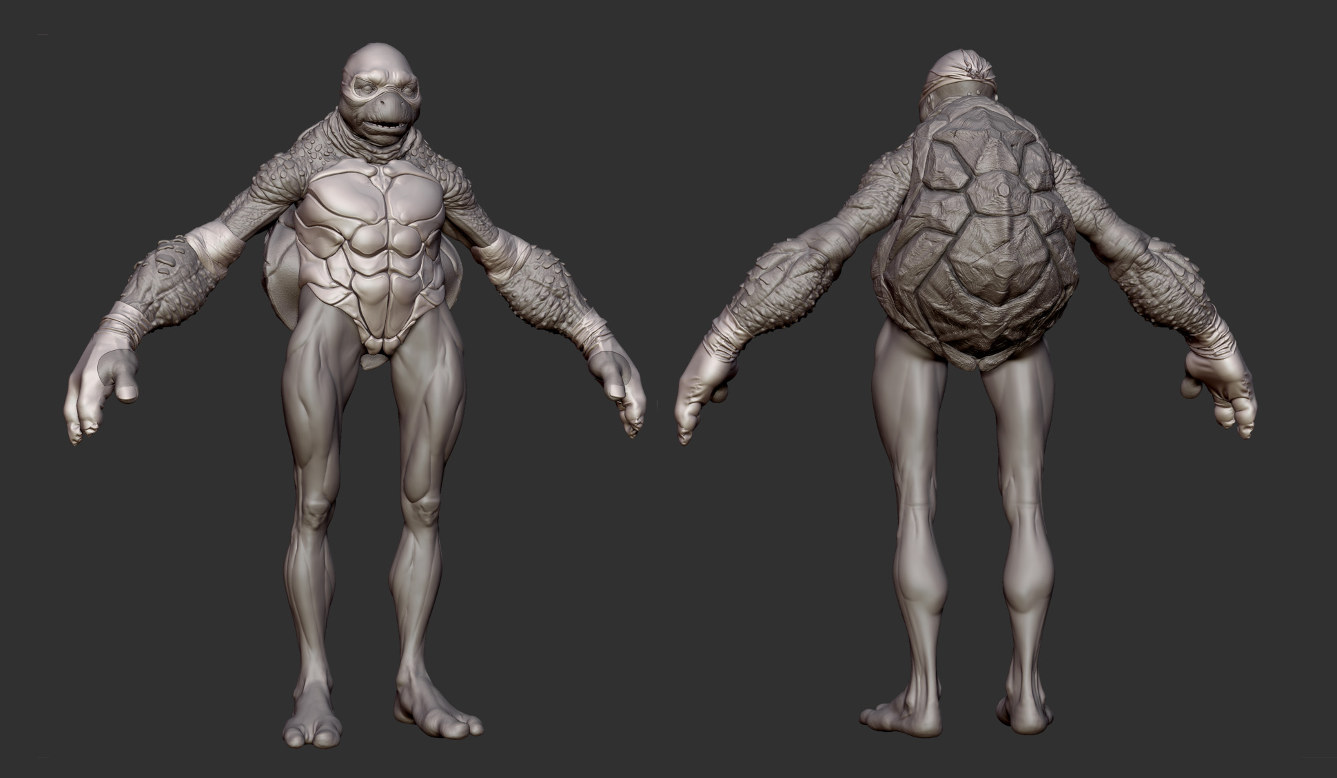 turtle_wip.jpg