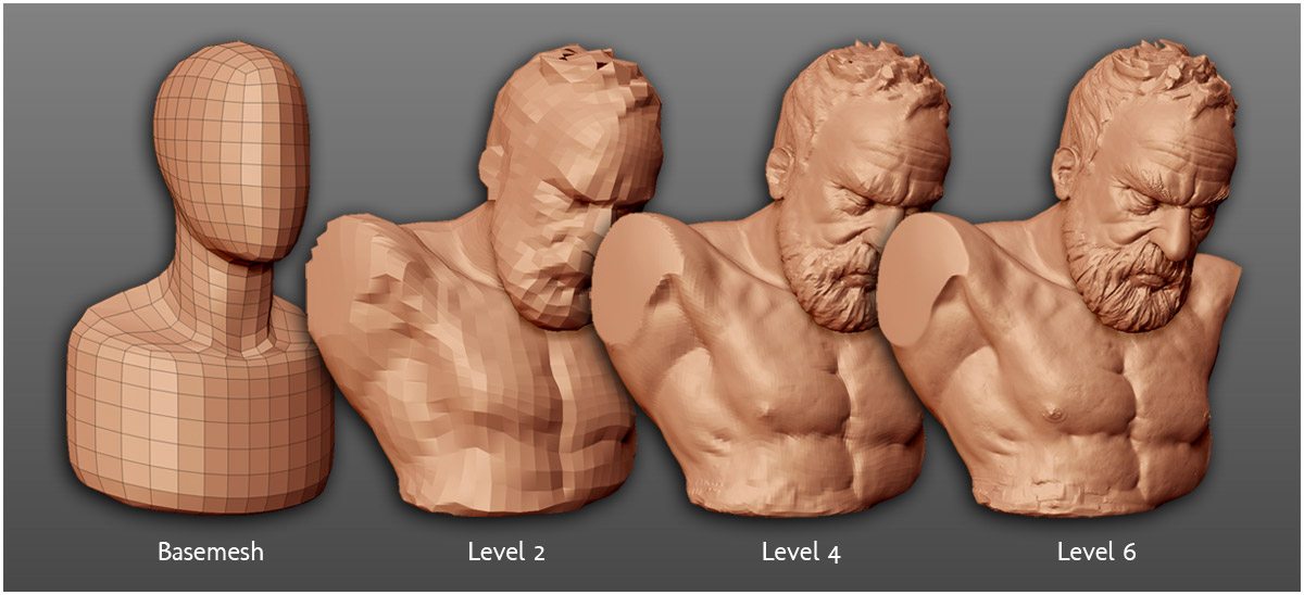 bust_levels_web.jpg