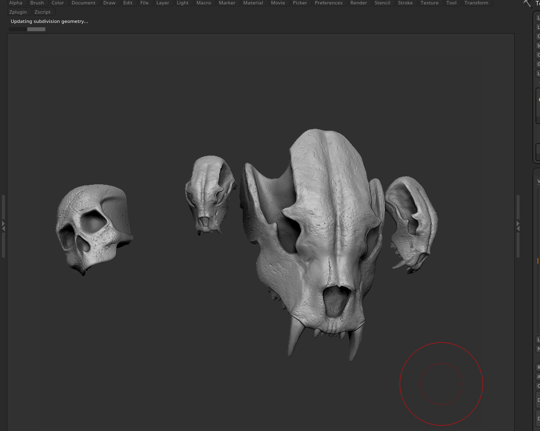 skull