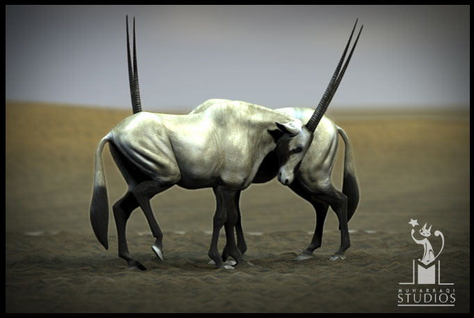 oryx44.jpg