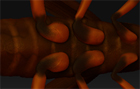 RS.jpg