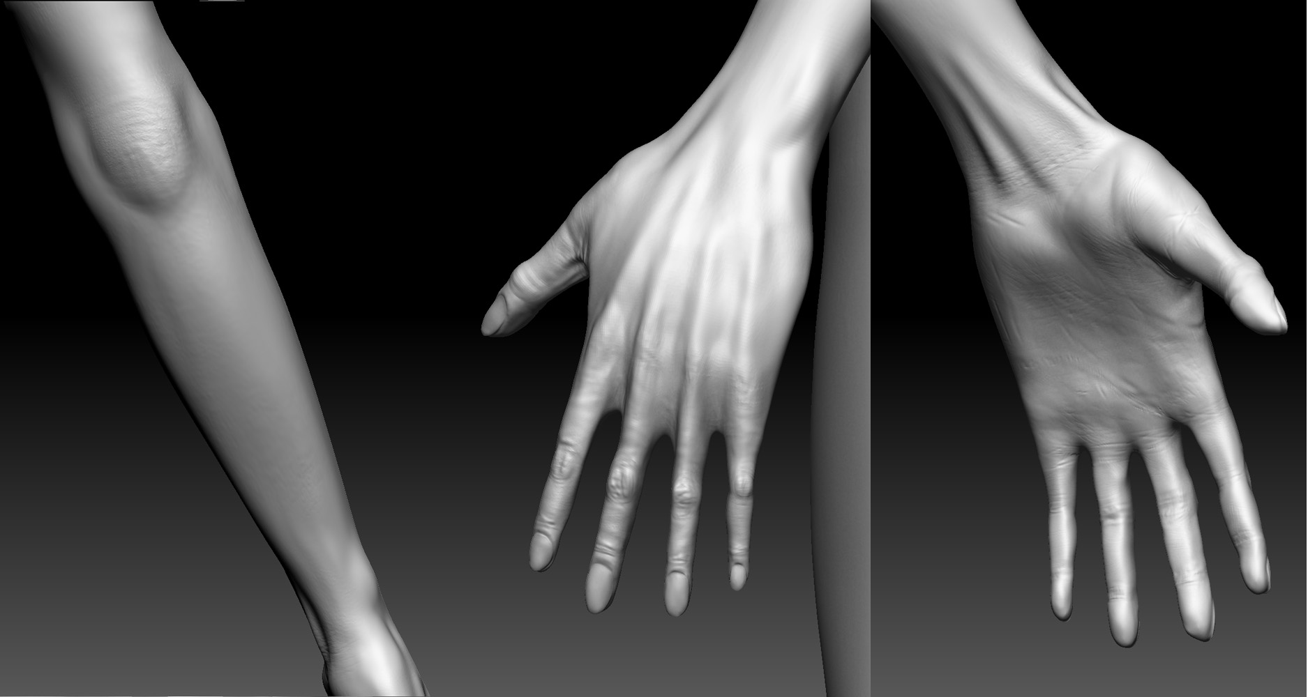 HandGroup.jpg