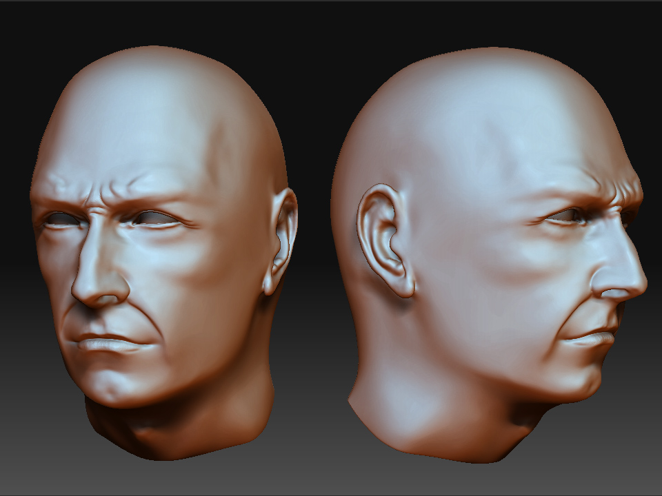 MaleHeadWIP.jpg