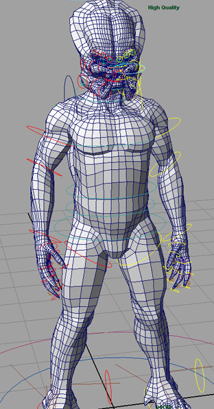 femaleanatomy.jpg