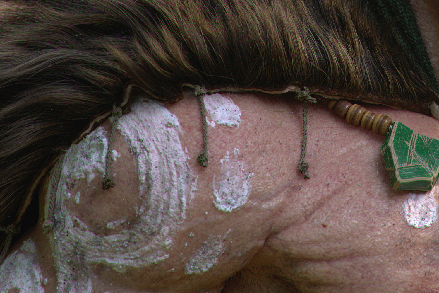 Close_UP_02.jpg