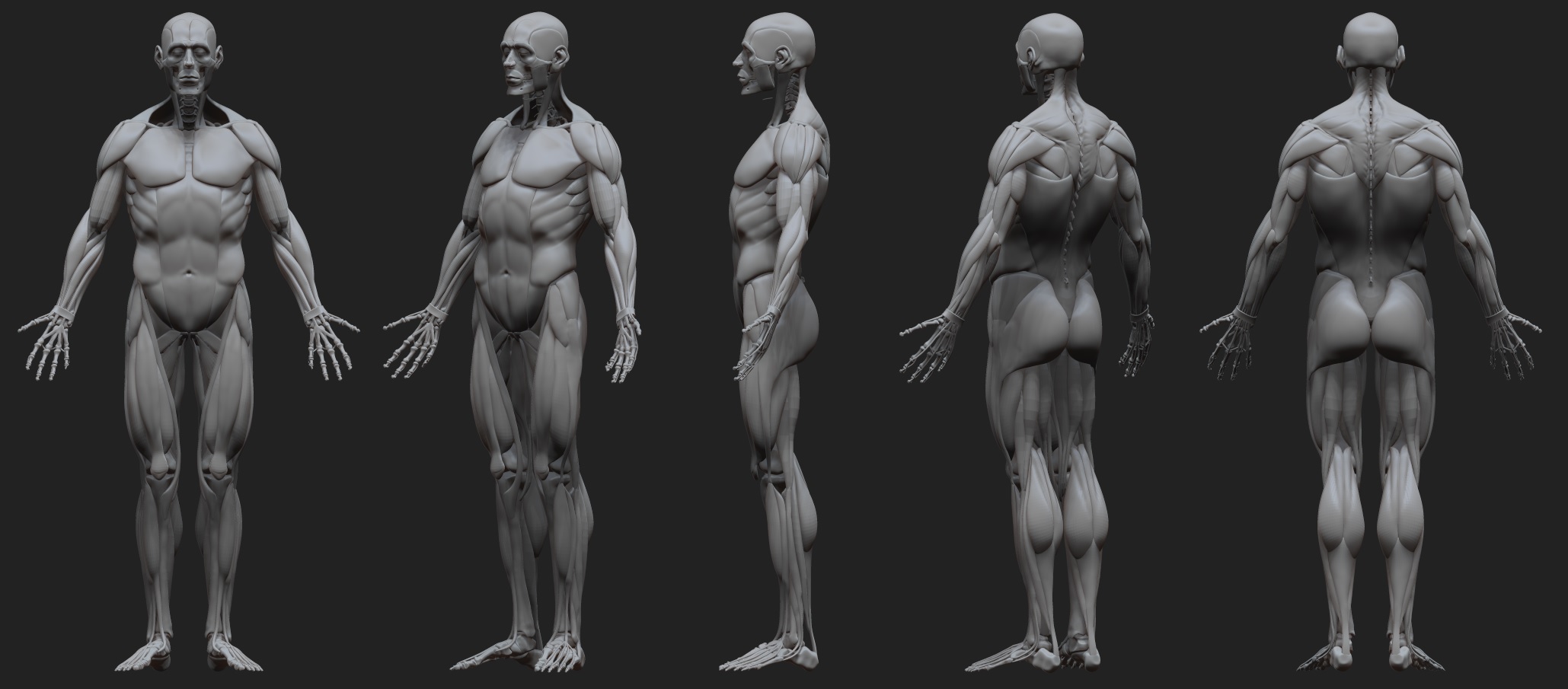 Skeleton_07.jpg