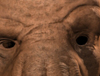 test1_thumb.jpg