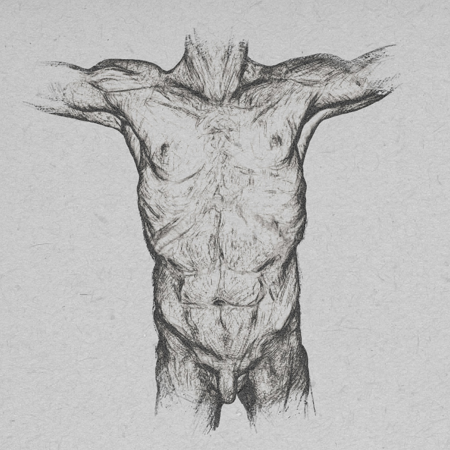 Body_Chest_npr_comp_byDirkWachsmuth