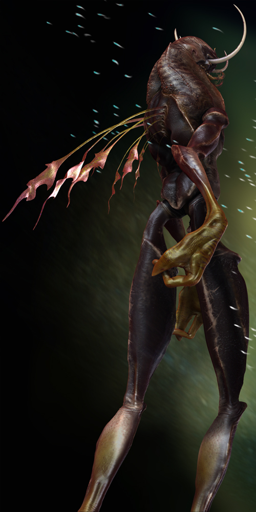 SoftBack1.jpg