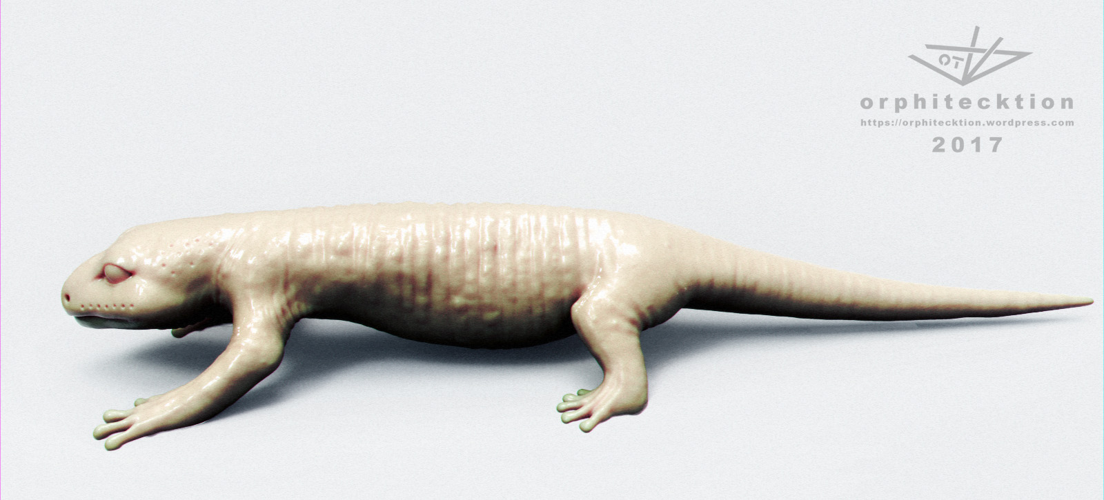 salamander_A01.jpg