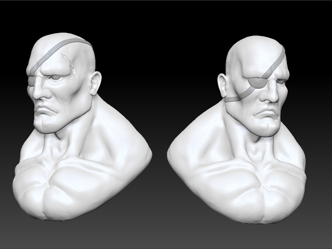 sagat.jpg