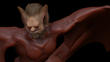 VAMPIRE 38.jpg
