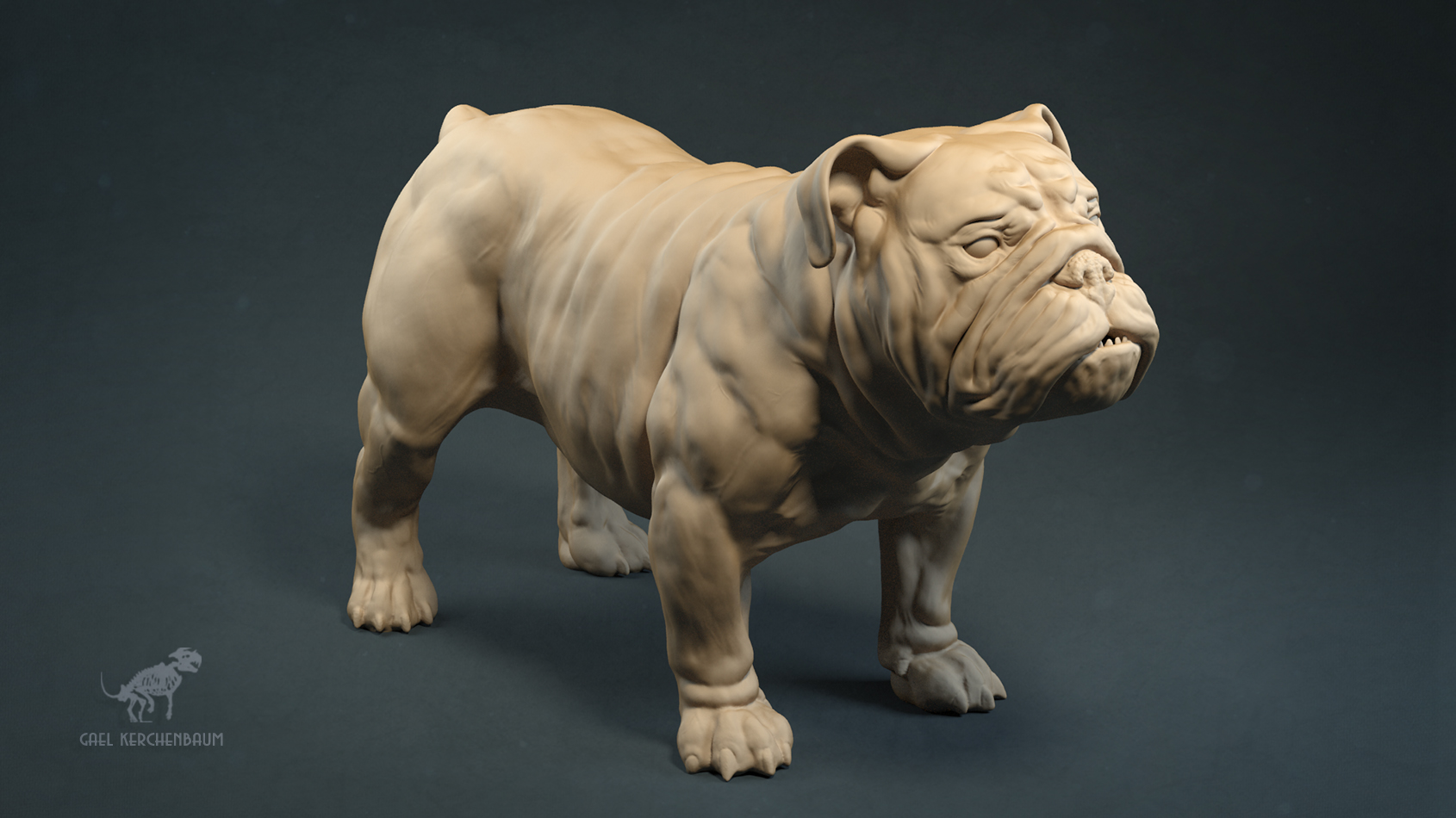 bulldog_007.jpg