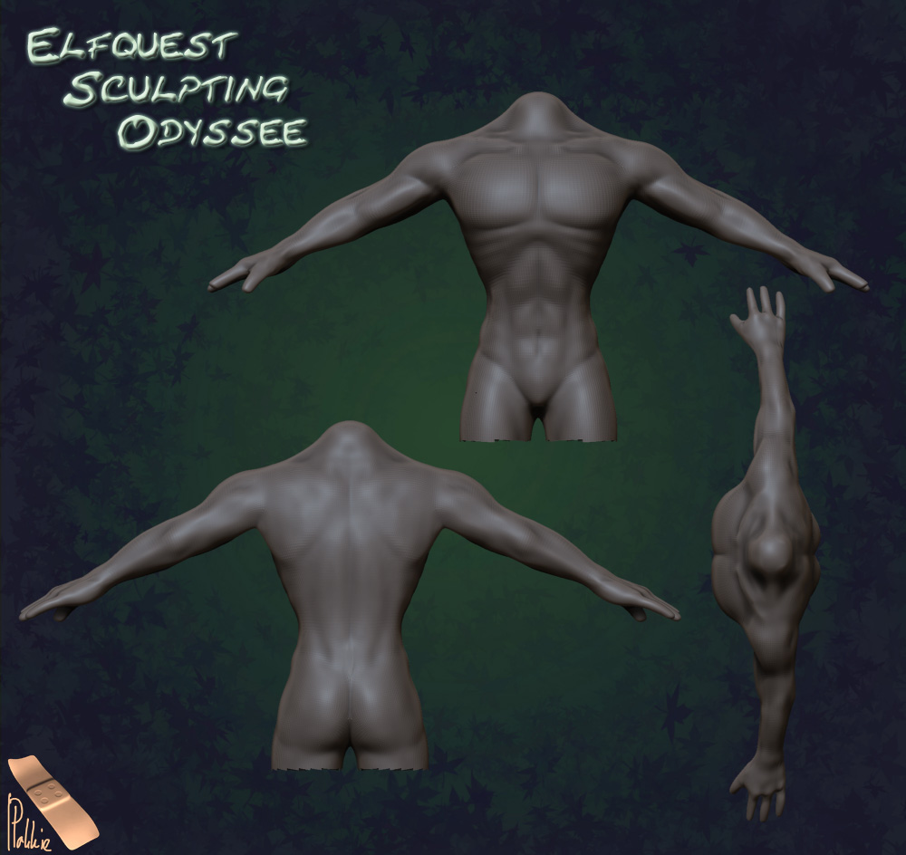 Bodystart5.jpg