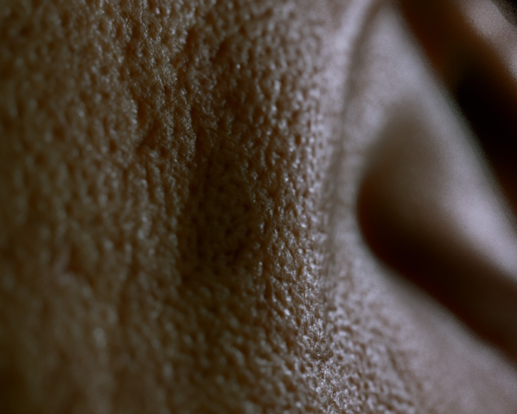 ljabli-salim-skin-closeup-2.jpg