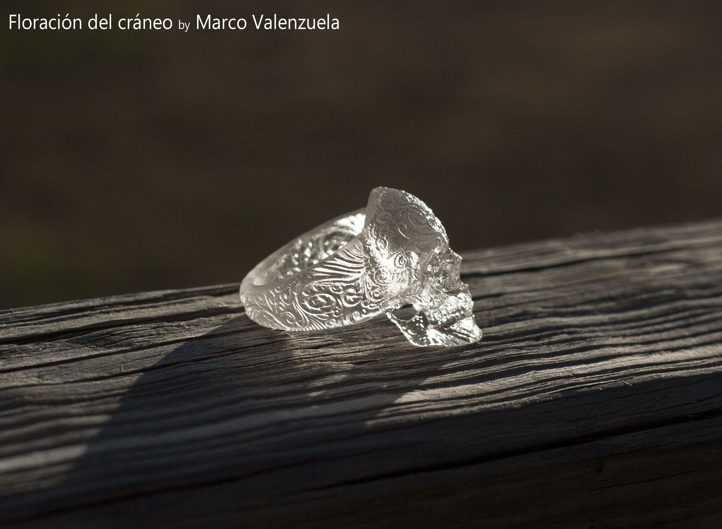 Skull_Ring_WaterShedClear03_web.jpg