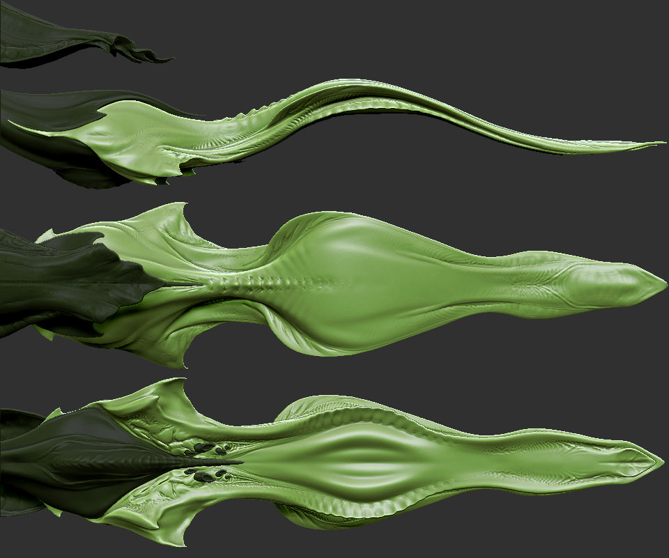 Body_03.jpg