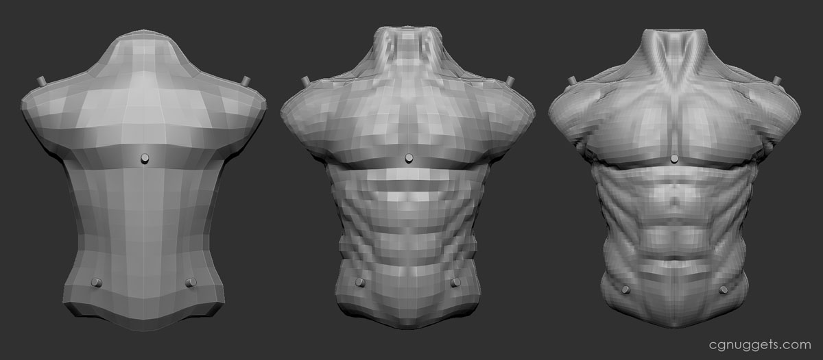 torso_front.jpg