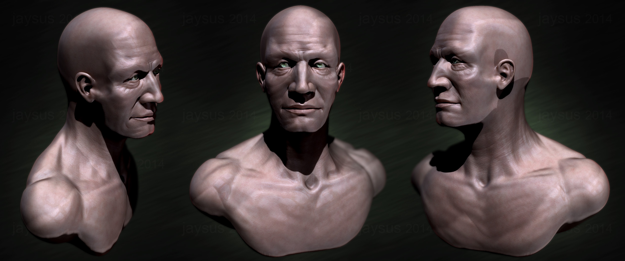 Bust_N04_cc.jpg