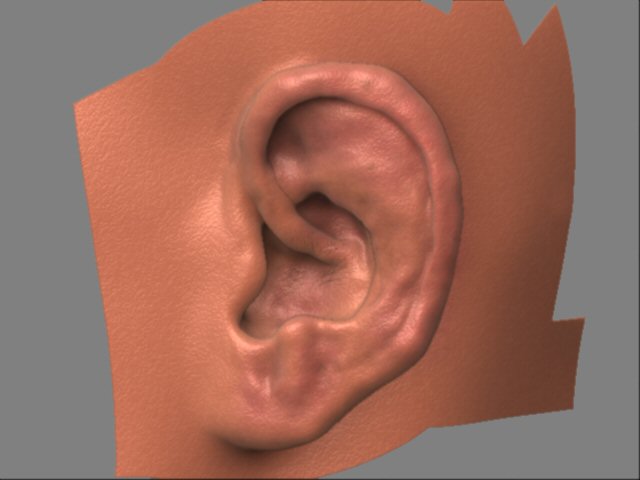 ear final.jpg