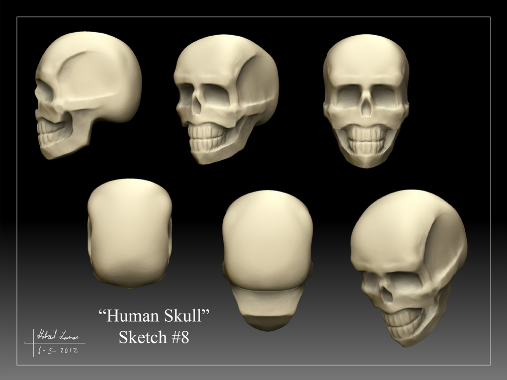 Human_Skull_Sketch_08.jpg