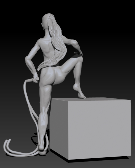 WHIP06.jpg