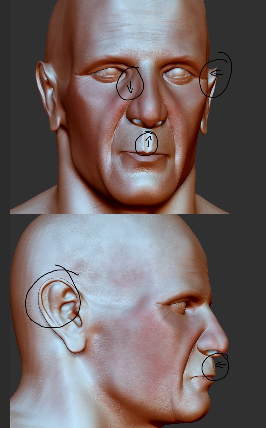 head_05.jpg