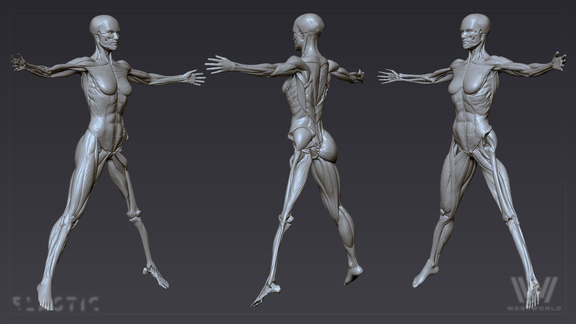 ww2_zbrush_vitruvian_02.jpg