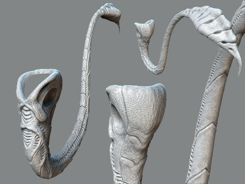 Tail2.jpg